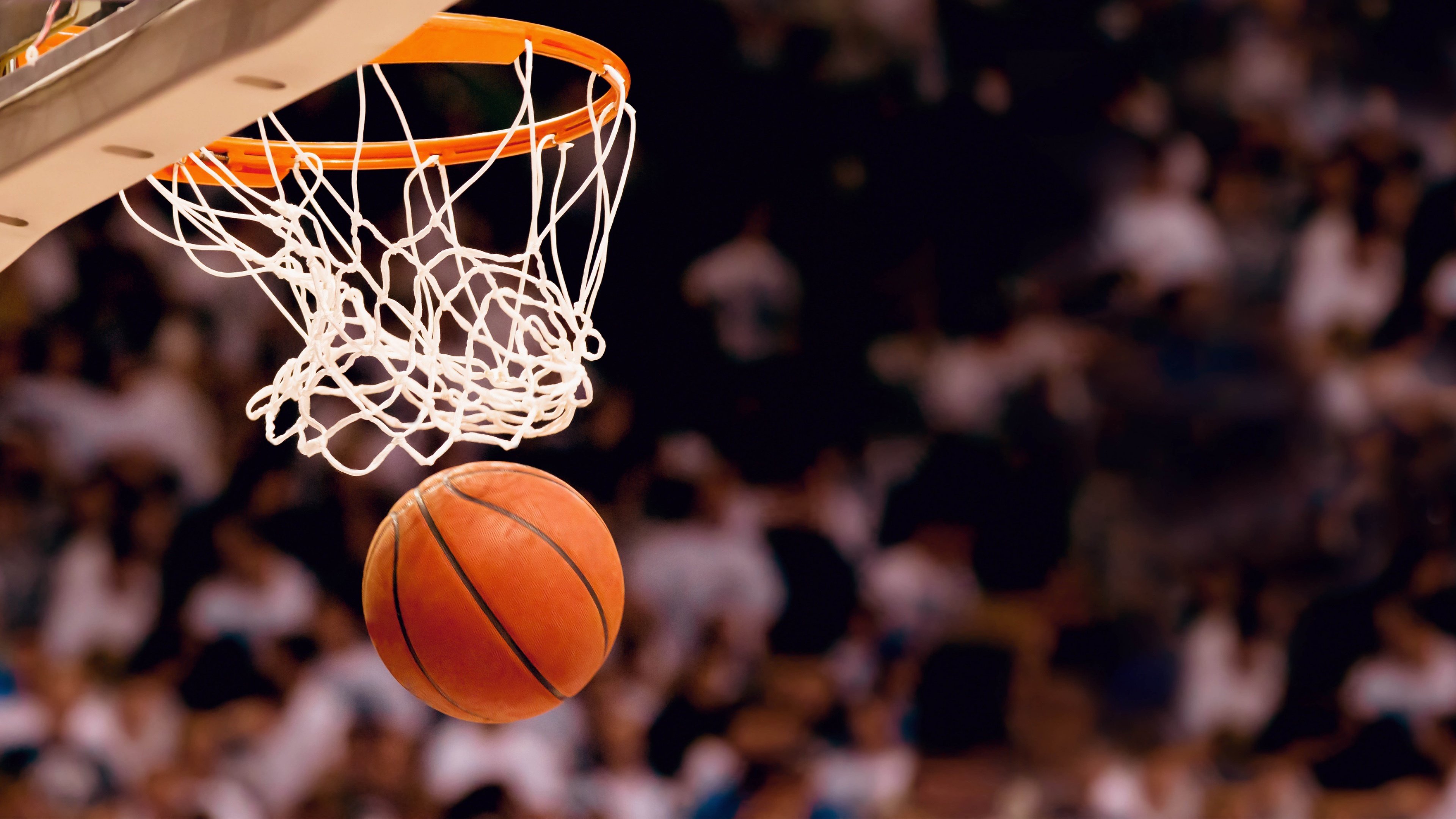 NBA季后赛惊现梦幻联动?雄鹿惨烈收割浙江队,这剧本谁写的?